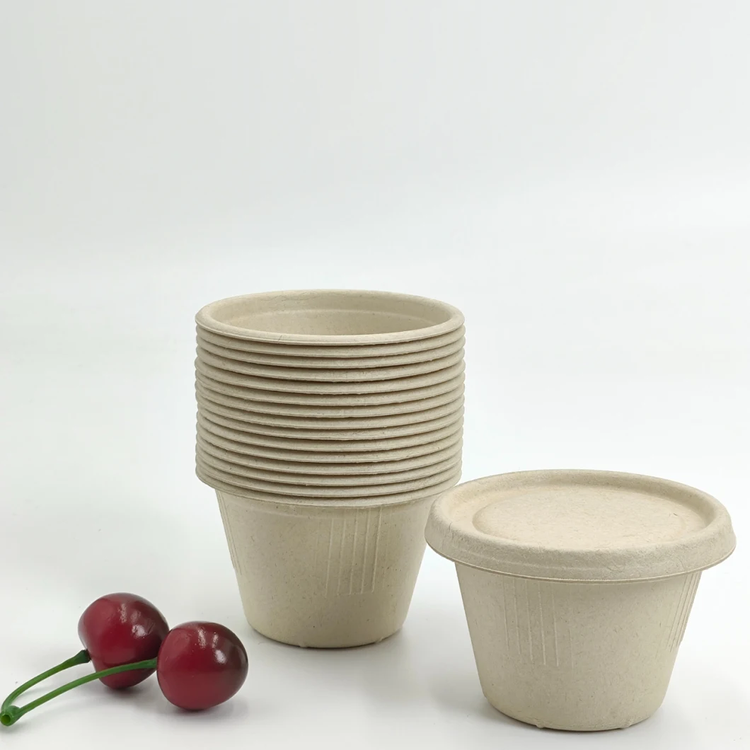 Eco-Friendly Sugarcane Bagasse Biodegradable Disposable Fried Chicken Sauce Bowl Supply