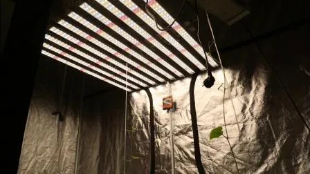 Warm White Orchid Mushroom Greenhouse Seedling Plant Indoor Strip Propagation Hydroponic LED Grow Lights