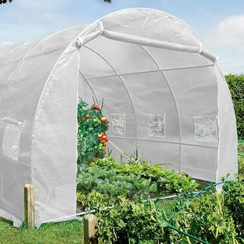 Low Cost Agricultural Home Mini Garden Tunnel Greenhouse Covered with PVC for Warehouse/Flower/Prefabricated House