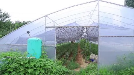 Estufa de jardim de filme tipo arco de extensão única para agricultura com sistema de cultivo hidropônico para agricultura/aves/vegetais/tomate/morango