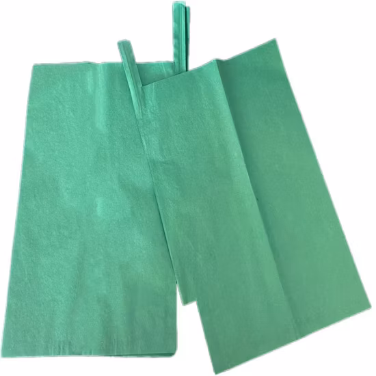 Material de papel de 2 camadas Saco para cultivo de manga Uso de frutas Saco de proteção de papel kraft