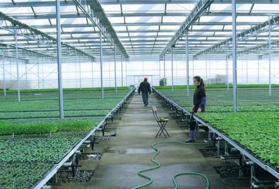 Ebb and Flow Seedbed Mesa de cultivo em estufa móvel Bancada rolante para mudas/reprodução