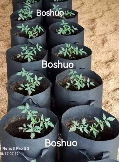 1 2 3 5 10 15 20 Galões Sacos de cultivo quadrado preto para viveiro de mudas