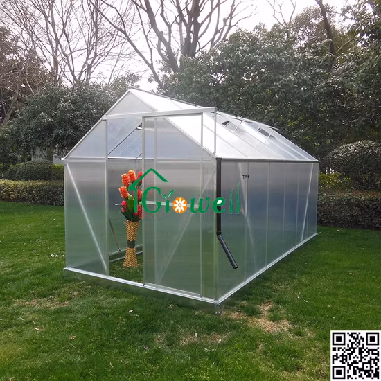 Estufas de PC 4mm Painel de policarbonato Estufa de jardim passatempo (P8)